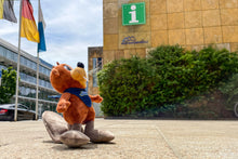 Lade das Bild in den Galerie-Viewer, Theo Thumsee Stofftier inkl. Buch