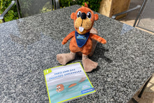 Lade das Bild in den Galerie-Viewer, Theo Thumsee Stofftier inkl. Buch