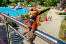 Lade das Bild in den Galerie-Viewer, Theo Thumsee Stofftier inkl. Buch