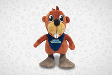 Lade das Bild in den Galerie-Viewer, Theo Thumsee Stofftier inkl. Buch